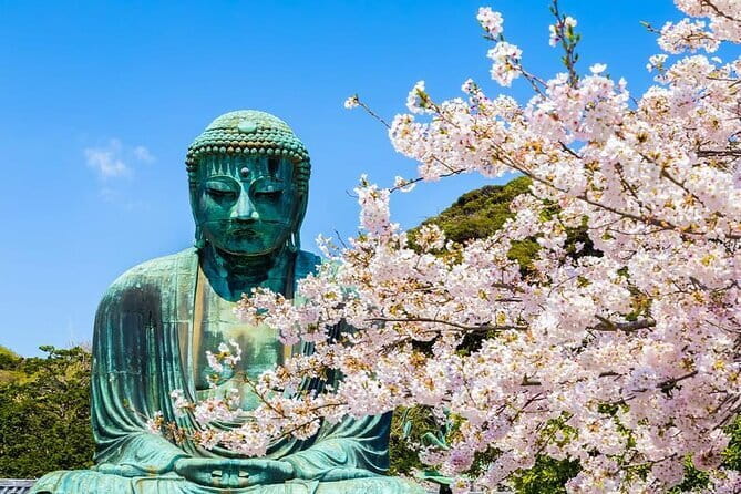 Kamakura Great Buddha and Enoshima with hotel Pickup small group - Key points to know before booking