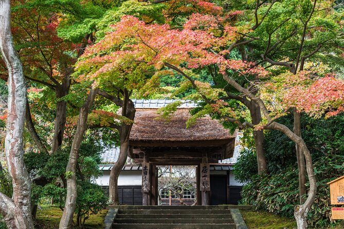 Kamakura Historical and Cultural Day Trip with Local Cuisine - The Great Buddha at Kotoku-in