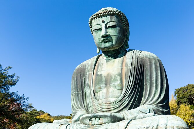 Kamakura Private Car Tour – English Driver, Flexible Schedule - Walking Through Hokoku-ji’s 2,000 Bamboo Stalks