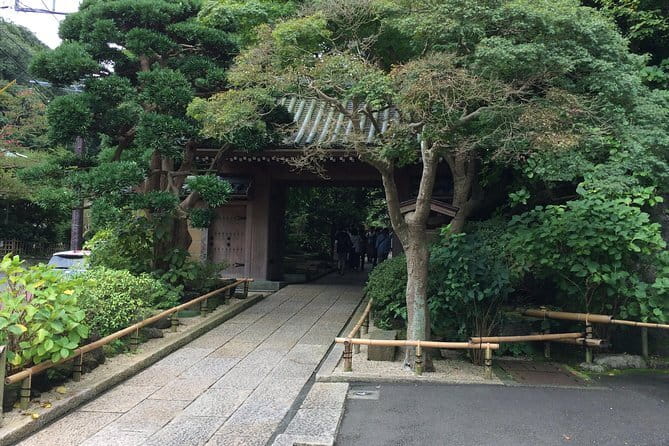 Kamakura Walking Tour with Local Guide Including Hokokuji Temple - Key points to know before you book