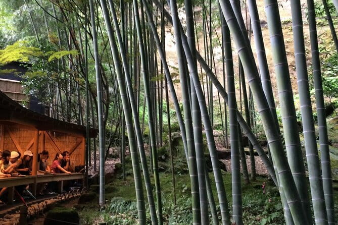 Kamakura Walking Tour with Local Guide Including Hokokuji Temple - Why Kamakura makes a good break from Tokyo