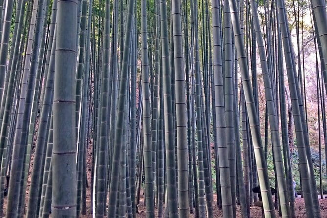 Kamakura Walking Tour with Local Guide Including Hokokuji Temple - Hokokuji Temple and its quiet bamboo grove