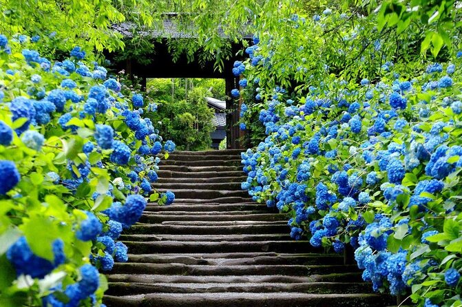 Kamakura & Yokohama One-Day Tour with English Driver - Kotoku-in and the Great Buddha