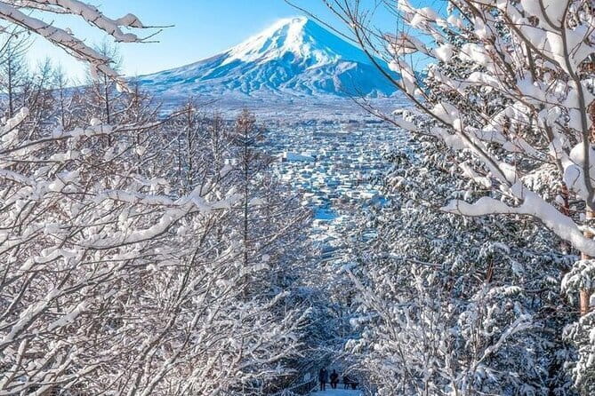 Kamkura: Private Zazen, Matcha at Bamboo Temple & Mindful Cuisine - Who will enjoy this experience most