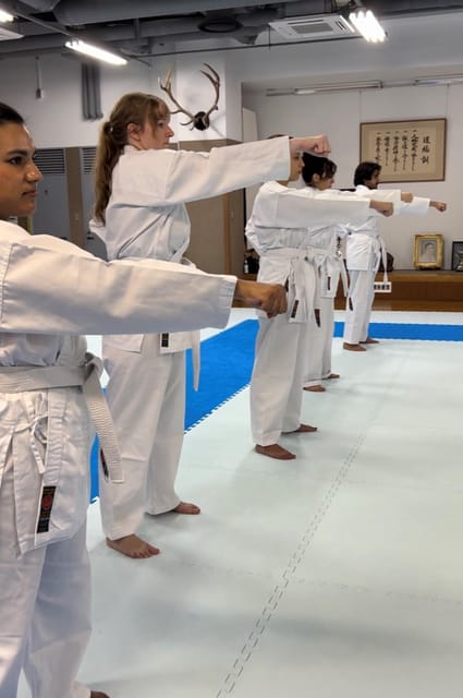 Karate Experience with the Shotokan Karate-do Instructor - Who Will Enjoy This Most