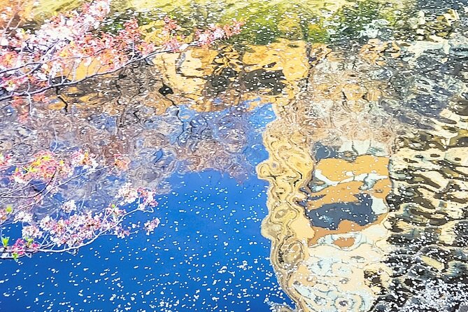 Licensed Guide Tokyo Meguro Cherry Blossom Walking Tour - Who will enjoy this private walk