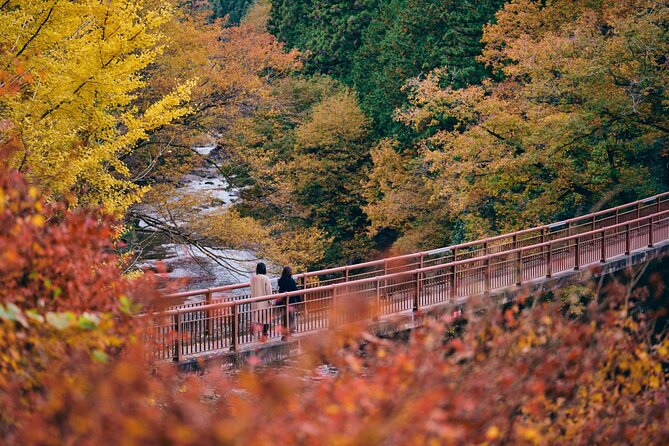 Little Adventure with Cycling in Tokyo No. 1 Crystal Clear River - The second ride, suspension bridge, and footbath