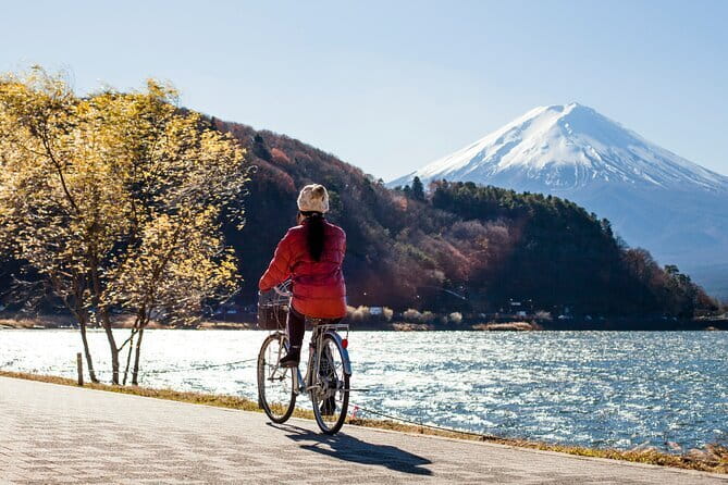 Majestic Mount Fuji: Exclusive Private Day Tour - Why this private Mount Fuji tour works from Tokyo