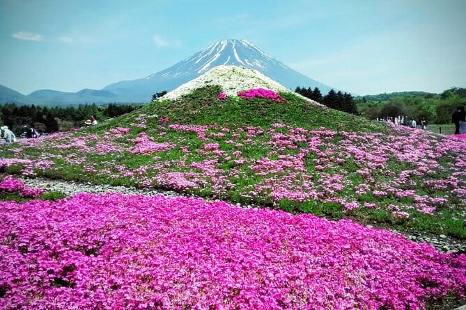 Majestic Mount Fuji: Exclusive Private Day Tour - Mt. Fuji 5th Station at 2,300 meters
