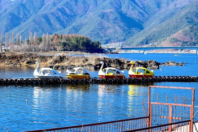 Majestic Mount Fuji: Exclusive Private Day Tour - Oishi Park across Lake Kawaguchi