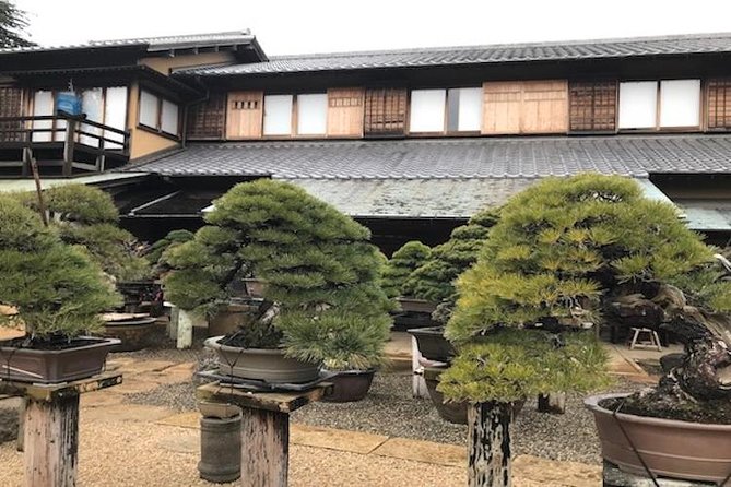 Make Your Own Bonsai with a Professional Bonsai Artist in Tokyo - What the Two-Hour Visit Feels Like