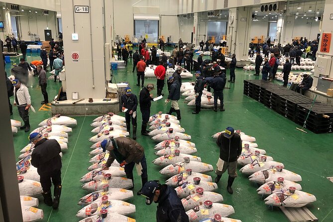 Morning Market Adventure: Toyosu & Tsukiji with Tuna Auction - Key points to know before booking