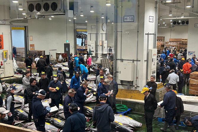 Morning Market Adventure: Toyosu & Tsukiji with Tuna Auction - Why the 5:00 am start is worth considering