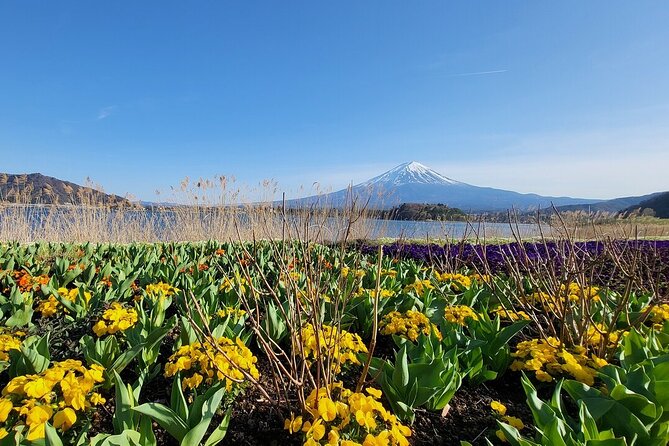 Mount Fuji Adventures Private English Tour With Hotel Pick Up - Hakone, caves, and route changes