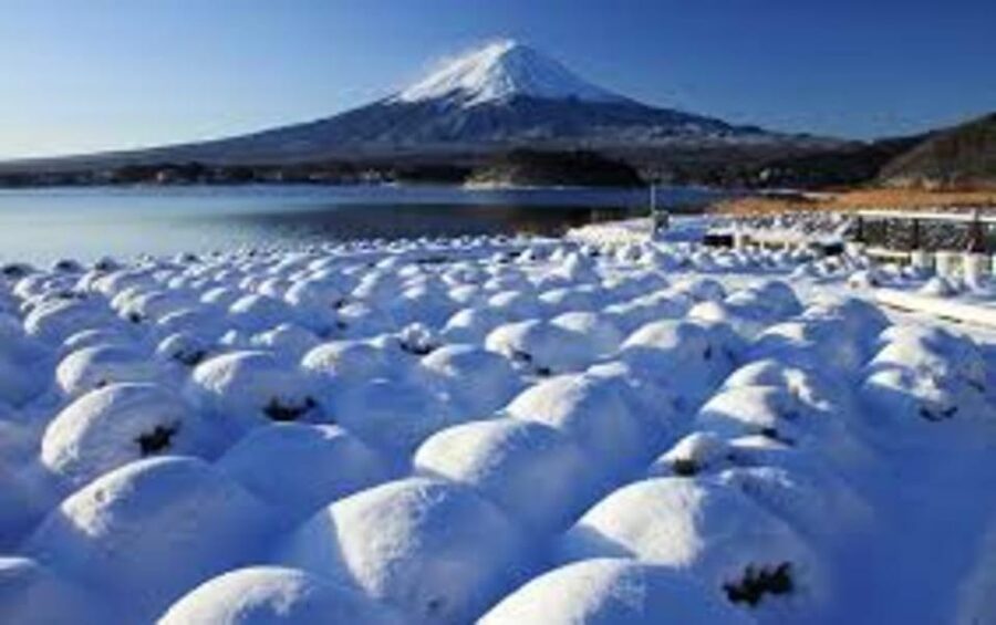 Mount Fuji and Hakone Day tour with English speaking Drivers - Key points to know before booking