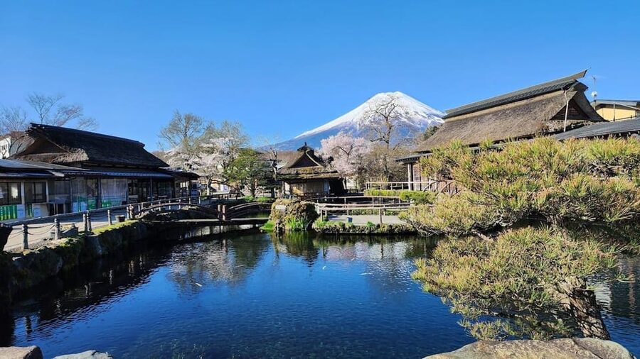 Mount Fuji and Hakone Day tour with English speaking Drivers - Choosing between Fuji and Hakone