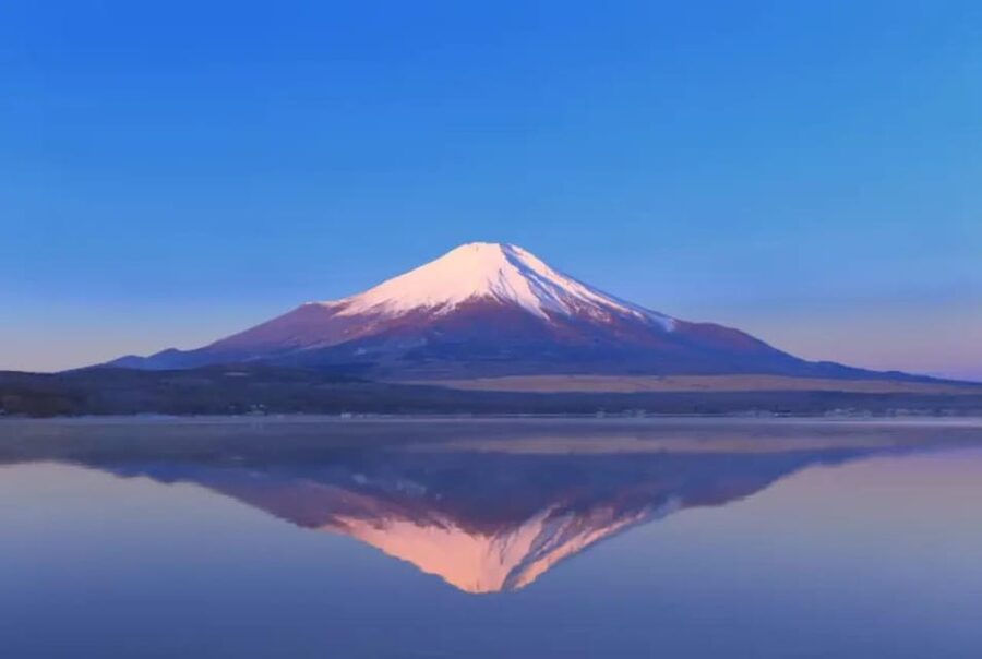 Mount Fuji and Hakone Day tour with English speaking Drivers - Leaving Tokyo in a private car