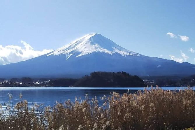 Mount Fuji and Hakone Private Day Trip by Car/Van - in English - Owakudani, sulfur vents and a volcanic change of scene