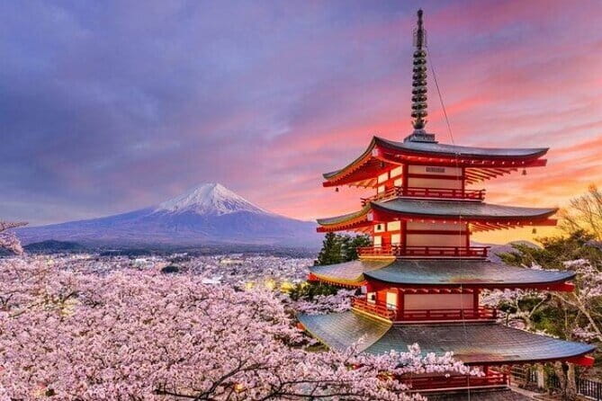 Mount Fuji and Hakone Private Tour with Pickup from Tokyo - Key points at a glance
