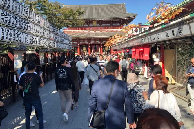 Mount Fuji and Hakone Private Tour with Pickup from Tokyo - Crossing to Hakone and Lake Ashi