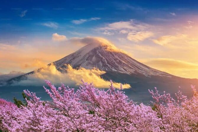 Mount Fuji and Hakone Private Tour with Pickup from Tokyo - Hakone Ropeway and Owakudani’s volcanic vents
