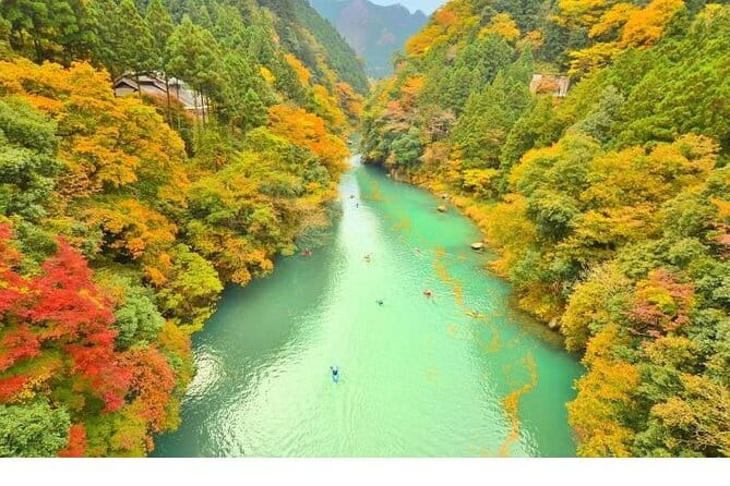 Mount Fuji and Hakone Private Tour with Pickup from Tokyo - What the $455 group price really covers