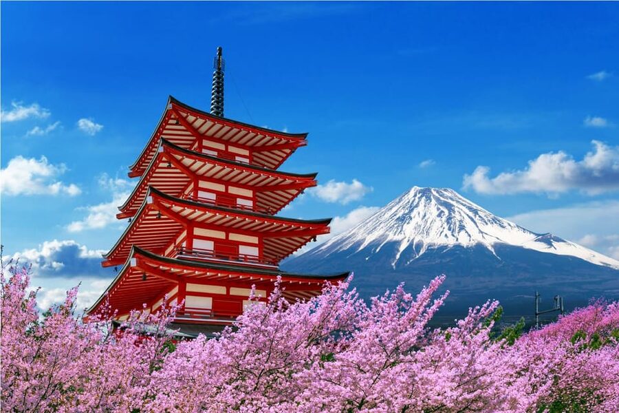 Mount Fuji and Hakone Tour with Personal Driver & Transport - A Fuji Day Built Around Views