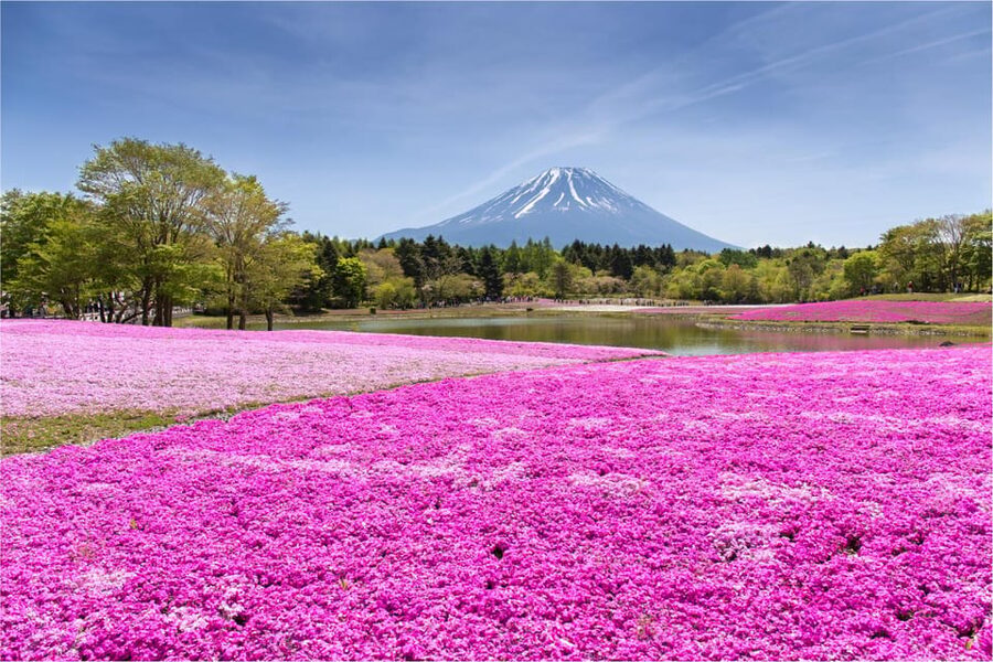 Mount Fuji and Hakone Tour with Personal Driver & Transport - Lake Kawaguchi Gives You Room to Breathe