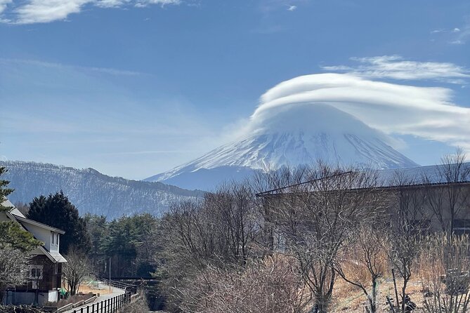 Mount Fuji Customizable one day Private Guided Tour from Tokyo - Key points to know before booking
