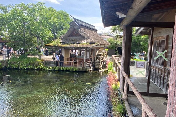 Mount Fuji Customizable one day Private Guided Tour from Tokyo - Why a private Mount Fuji day makes sense from Tokyo