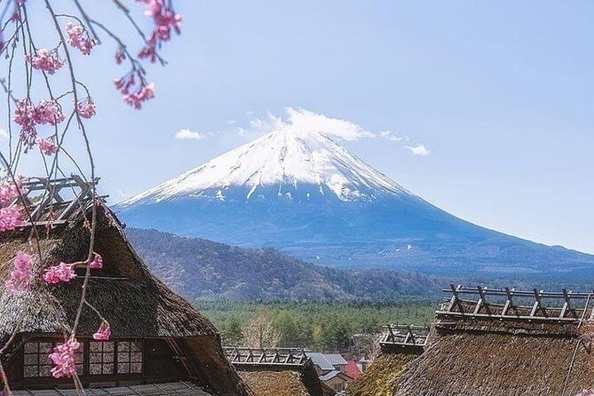 Mount Fuji Customizable one day Private Guided Tour from Tokyo - Kitaguchi Hongu Fuji Sengen Shrine and the spiritual side of Fuji