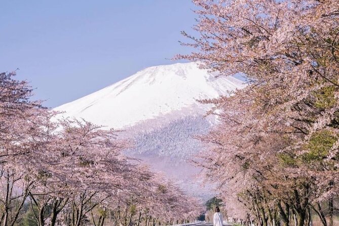 Mount Fuji Customizable one day Private Guided Tour from Tokyo - Arakurayama Sengen Park and the 398-step climb