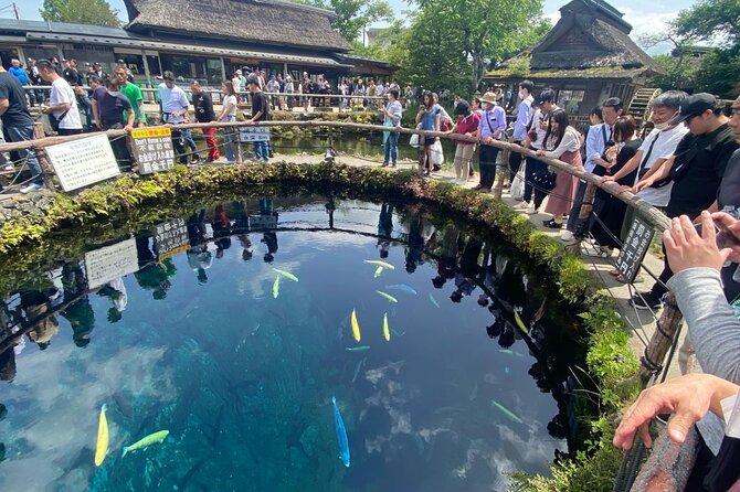 Mount Fuji Customizable one day Private Guided Tour from Tokyo - Oshino Hakkai, eight spring ponds and local snacks