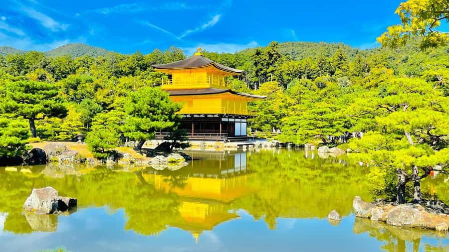 Mount Fuji Customize Private Tour with English Driver - A Private Fuji Day Built Around Your Interests
