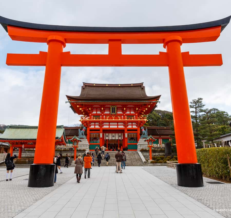 Mount Fuji Customize Private Tour with English Driver - Lunch, Tickets, and the Real Cost