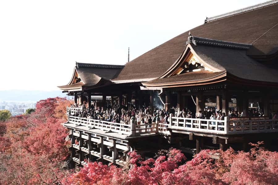Mount Fuji Customize Private Tour with English Driver - Hakone and Lake Ashi in the Same Day