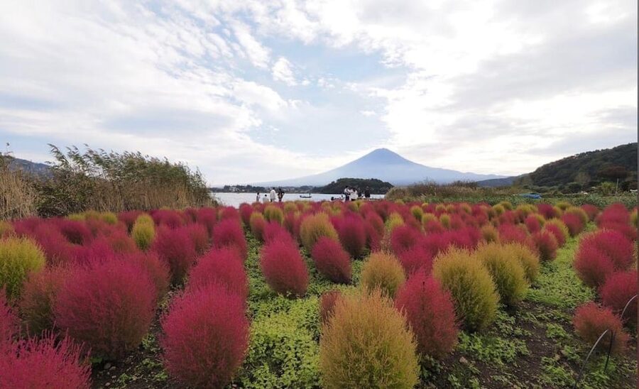 Mount Fuji Customize Private Tour with English Driver - Ending at an Outlet Mall