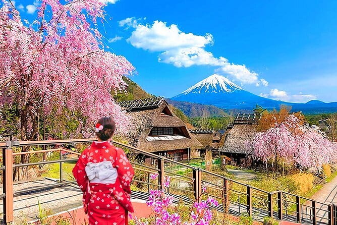 Mount Fuji Day Tour:Lake Kawaguchi, HealingVillage,Oshino Hakkai - Key points to know before booking