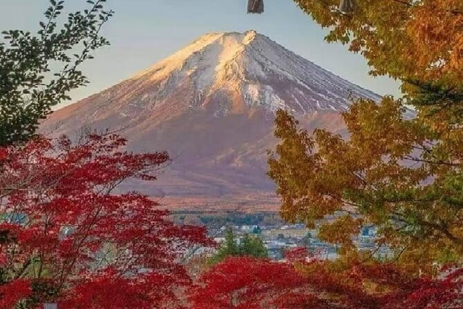Mount Fuji Day Tour:Lake Kawaguchi, HealingVillage,Oshino Hakkai - Arakurayama Sengen Park and the famous Fuji view