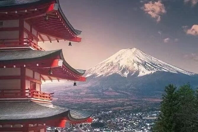 Mount Fuji Day Tour:Lake Kawaguchi, HealingVillage,Oshino Hakkai - Oishi Park beside Lake Kawaguchi
