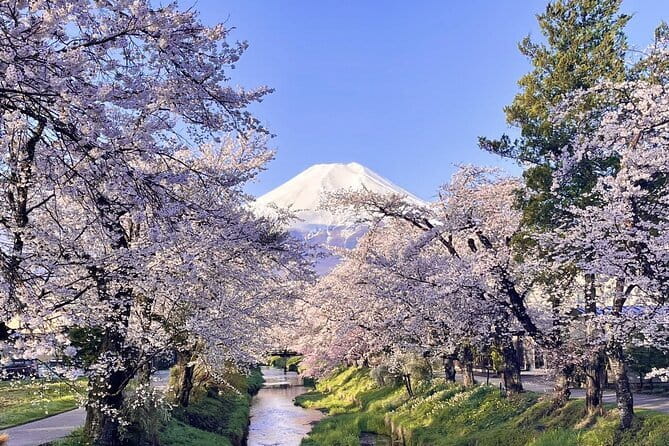 Mount Fuji Day Tour:Lake Kawaguchi, HealingVillage,Oshino Hakkai - What the $46.91 price really covers