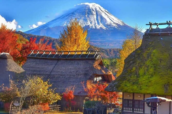 Mount Fuji Day Tour:Lake Kawaguchi, HealingVillage,Oshino Hakkai - Oshino Hakkai and its eight clear ponds