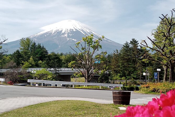 Mount Fuji Escape: A Private Tour - Chureito Pagoda: the classic Fuji photograph