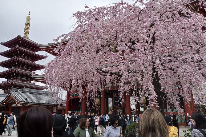 Mount Fuji Escape: A Private Tour - Saiko Lake: a quieter change of pace
