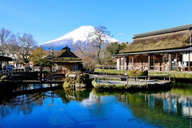 Mount Fuji Full Day Customized Private Tour with English Guide - A private road trip from Tokyo to Mount Fuji