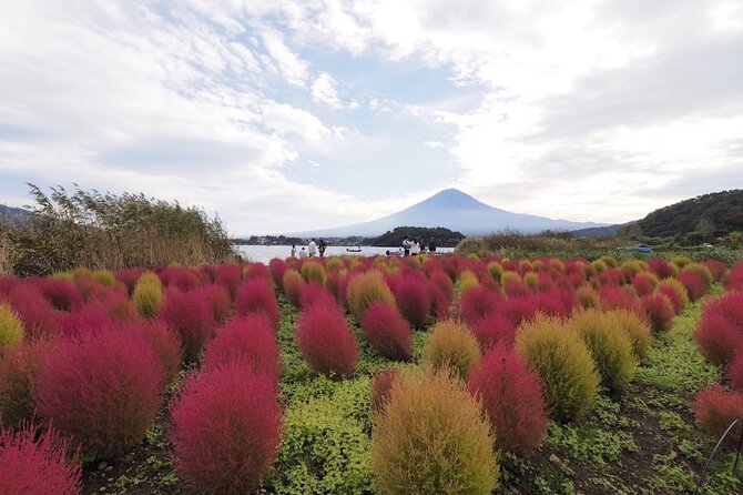 Mount Fuji Full Day Customized Private Tour with English Guide - Arakurayama Sengen Park and Chureito Pagoda