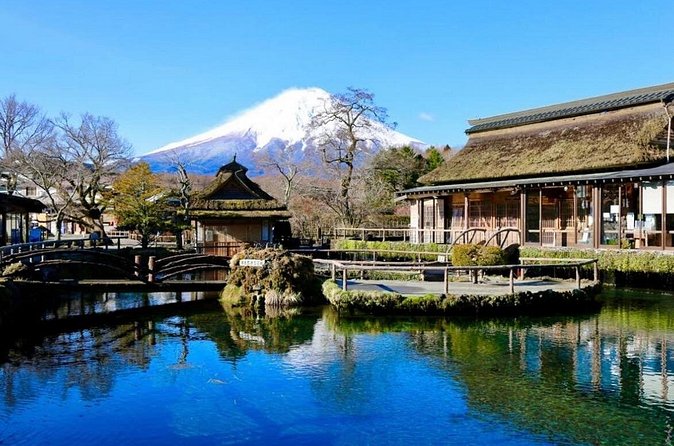 Mount Fuji Full Day Customized Private Tour with English Guide - Optional Hakone stops: choose carefully