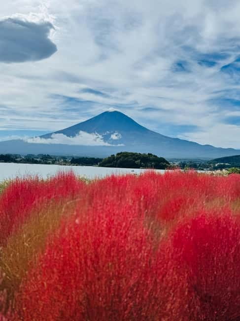 Mount Fuji Full-Day Private Customizable Tour From Tokyo - Art at the Hakone Open-Air Museum