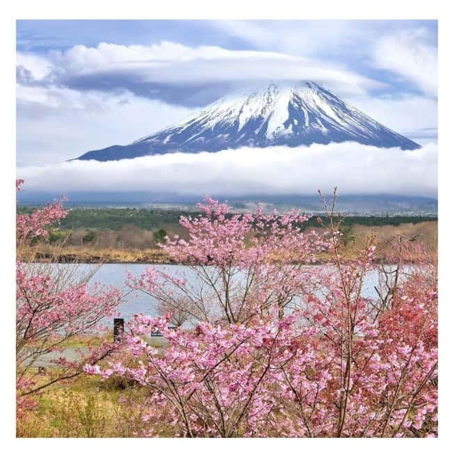 Mount Fuji Full Day Private Tour from Tokyo Full Customized - What the drivers add to the day