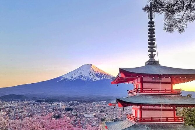 Mount Fuji full day private trip with English speaking driver - Key points at a glance